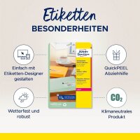 AVERY Zweckform Etiketten transparent 38,1 x 21,2 mm, 25 Blatt