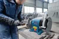 BOSCH Professional GBG 60-20 Doppelschleifbock 600 W