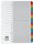 dots Ordnerregister Mylar DIN A4 Vollformat A-Z farbig 20-teilig, 1 Satz