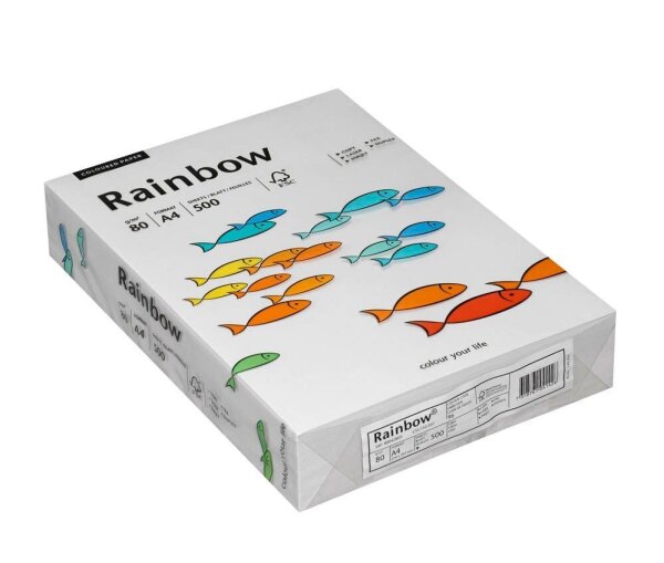 Rainbow Kopierpapier COLORED PAPER grau DIN A4 80 g/qm 500 Blatt