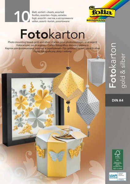 folia Fotokarton farbsortiert 300 g/qm 10 Blatt