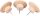 Legamaster Pinnnadeln WOODEN braun, 25 St.