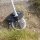 makita 191M75-9 Grasscheren-Aufsatz