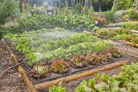 GARDENA Bewässerungs-Set Micro-Drip-System