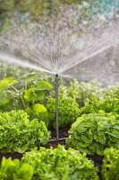 GARDENA Bewässerungs-Set Micro-Drip-System