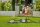 GARDENA Gartenpumpe 6300 SilentComfort 1050 W