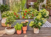 GARDENA Bewässerungs-Set Micro-Drip-System