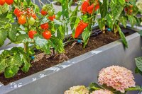 GARDENA Bewässerungs-Set Micro-Drip-System
