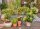GARDENA Bewässerungs-Set Micro-Drip-System