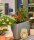 GARDENA Bewässerungs-Set Micro-Drip-System