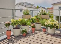 GARDENA Bewässerungs-Set Micro-Drip-System