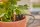 GARDENA Bewässerungs-Set Micro-Drip-System