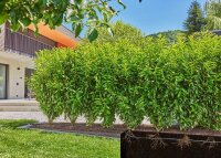 GARDENA Bewässerungs-Set Micro-Drip-System