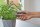 GARDENA GripCut Gartenschere