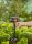 GARDENA Viereckregner Micro-Drip-System
