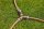GARDENA Regulierventil 18267-50, 1 St.
