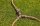 GARDENA Regulierventil 18267-50, 1 St.
