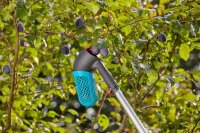 GARDENA combisystem Beerensammler
