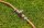 GARDENA Regulierventil 18266-50, 1 St.