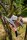 GARDENA Comfort SmartCut Gartenschere