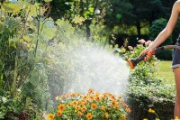 GARDENA Gartenbrause Profi-System Spritz-Brause