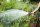 GARDENA Gartenbrause Profi-System Spritz-Brause