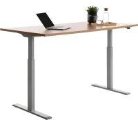 Topstar E-Table elektrisch höhenverstellbarer Schreibtisch buche rechteckig, T-Fuß-Gestell grau 160,0 x 80,0 cm