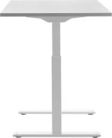 Topstar E-Table elektrisch höhenverstellbarer Schreibtisch lichtgrau rechteckig, T-Fuß-Gestell weiß 120,0 x 80,0 cm