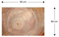 ALLboards Magnettafel 90,0 x 60,0 cm Baumstamm