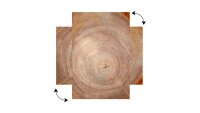ALLboards Magnettafel 90,0 x 60,0 cm Baumstamm