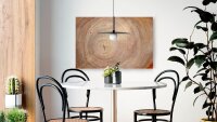 ALLboards Magnettafel 60,0 x 40,0 cm Baumstamm