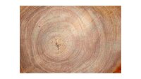 ALLboards Magnettafel 60,0 x 40,0 cm Baumstamm