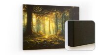 ALLboards Magnettafel CANVASboards 90,0 x 60,0 cm Märchen Wald