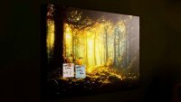 ALLboards Magnettafel CANVASboards 90,0 x 60,0 cm Märchen Wald