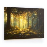 ALLboards Magnettafel CANVASboards 90,0 x 60,0 cm Märchen Wald