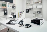 LEITZ Stehsammler WOW Duo Colour 53621095 perlweiß/schwarz Kunststoff, DIN A4, 1 St.