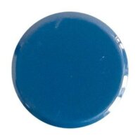 ALLboards Magnet blau, Kunststoff Ø 2,0 x 0,6 cm, 10 St.