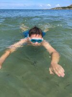 SCHILDKRÖT® Schwimmbrille weiß, 1 St.