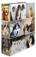 HERMA Motivordner Hunde 7,0 cm DIN A4, 1 St.