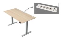 Kerkmann Move 1 plus elektrisch höhenverstellbarer Schreibtisch ahorn rechteckig, T-Fuß-Gestell grau 160,0 x 80,0 cm