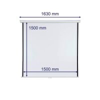 FRANKEN Rolloleinwand X-tra!Line 1:1, 150 x 150 cm...