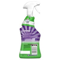 CILLIT BANG EXPERT Kraftreiniger 750 ml, 1 St.