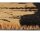 relaxdays Kokosmatte braun/schwarz 40,0 x 60,0 cm