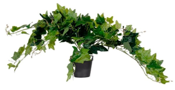 meet powered by PAPERFLOW EFEU Kunstpflanze 80,0 cm