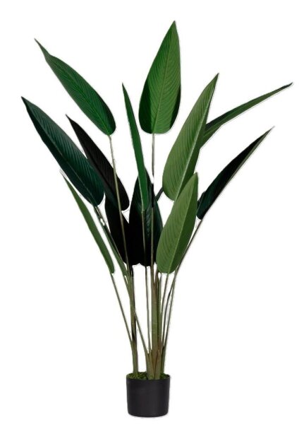 meet powered by PAPERFLOW  PARADIESVOGELBLUME Kunstpflanze 140,0 cm