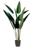 meet powered by PAPERFLOW  PARADIESVOGELBLUME Kunstpflanze 140,0 cm