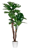 meet powered by PAPERFLOW MONSTERA Kunstpflanze 130,0 cm