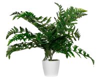 meet powered by PAPERFLOW FARN Kunstpflanze 55,0 cm