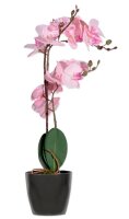 meet powered by PAPERFLOW ORCHIDEE Kunstpflanze 50,0 cm