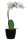 meet powered by PAPERFLOW ORCHIDEE Kunstpflanze 40,0 cm